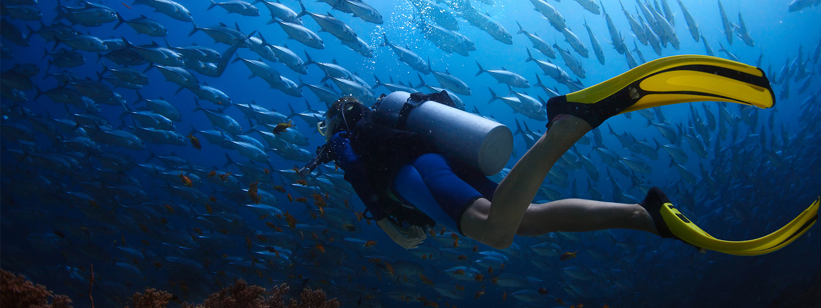 Try Scuba